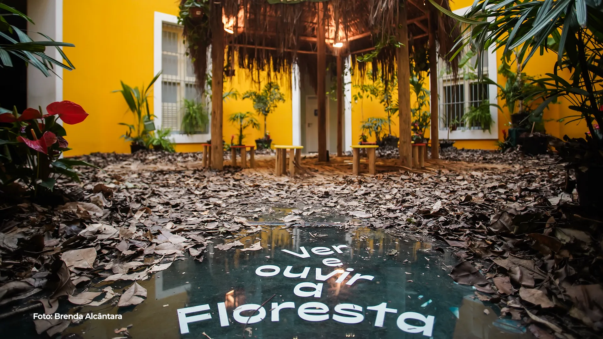Espelho d'água com a inscrição "Vem ouvir a Floresta" no pátio amarelo