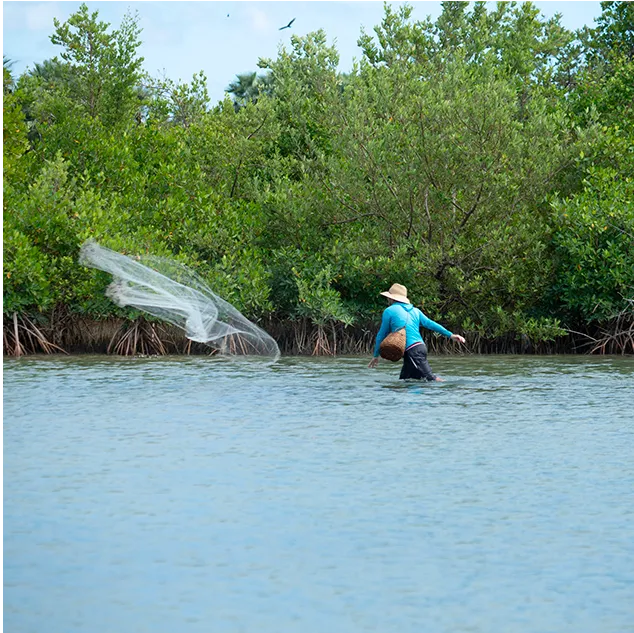 Pescador lança a tarrafa nas águas do manguezal