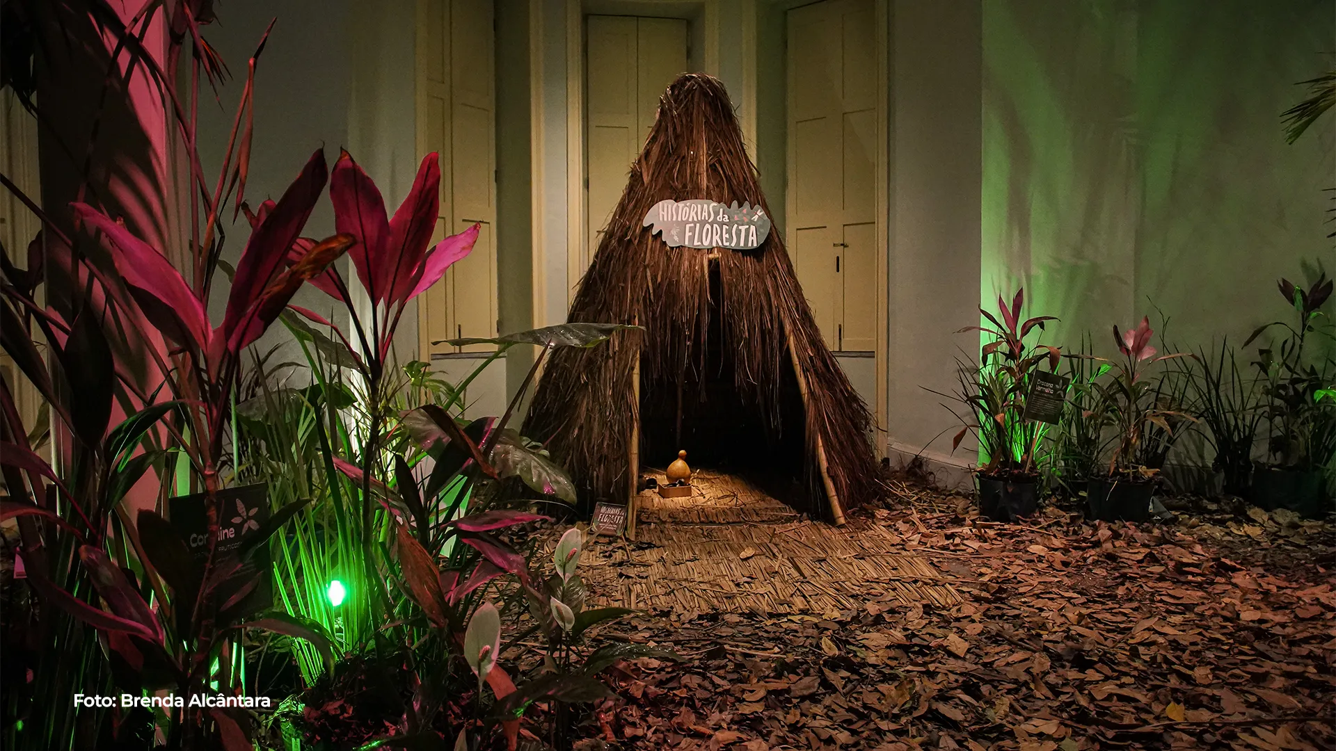 Cenário de floresta montado no palco, com oca ao centro